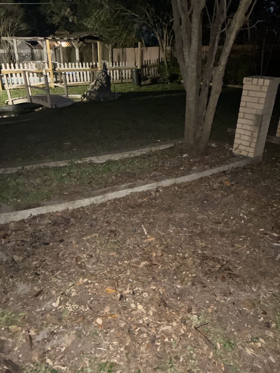 Same Kyle backyard, cleared the same day