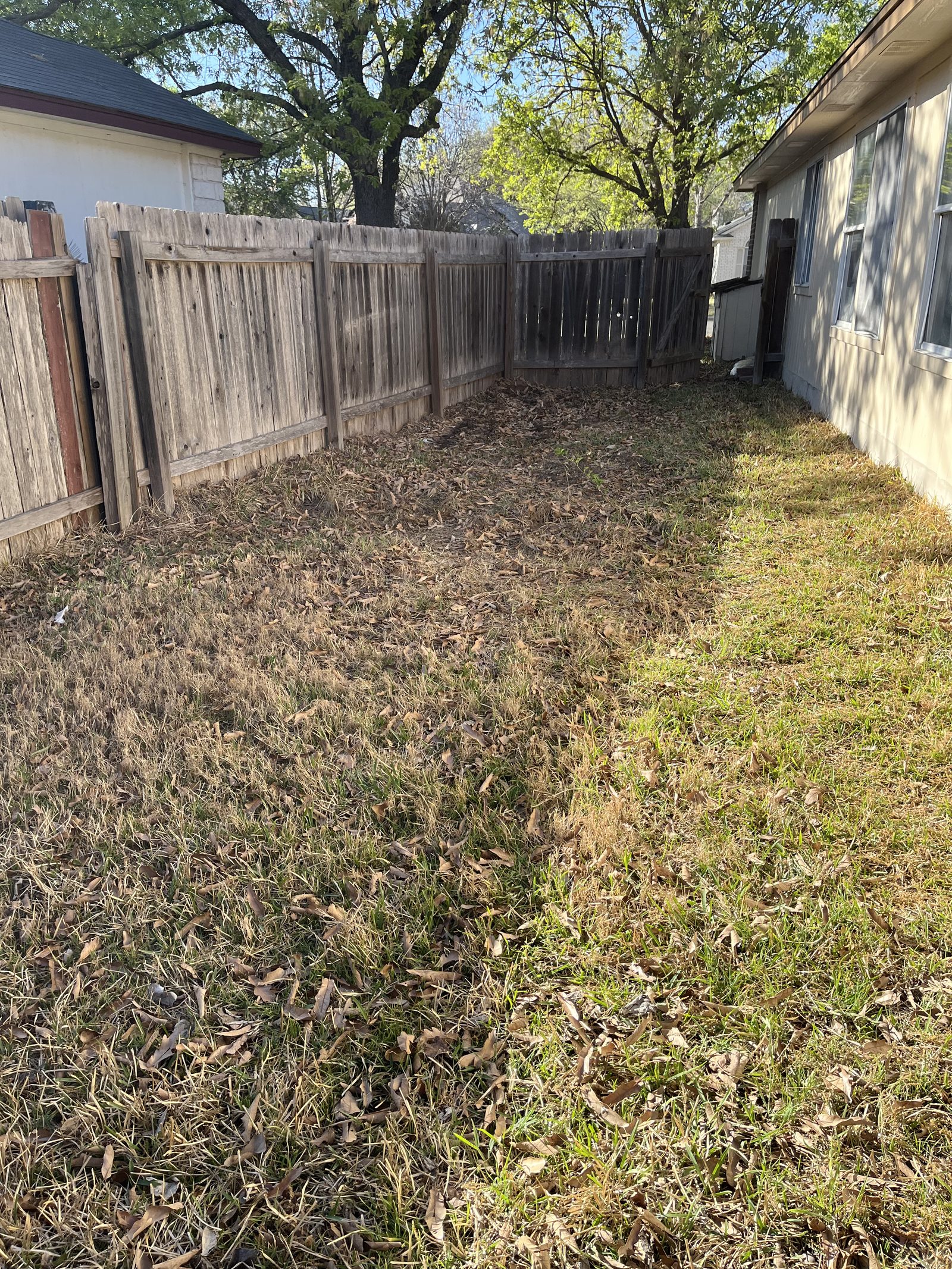 Hoarding Cleanout — hoarding cleanout job in Kyle, TX